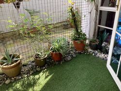 Henry Park (D10), Detached #511187341